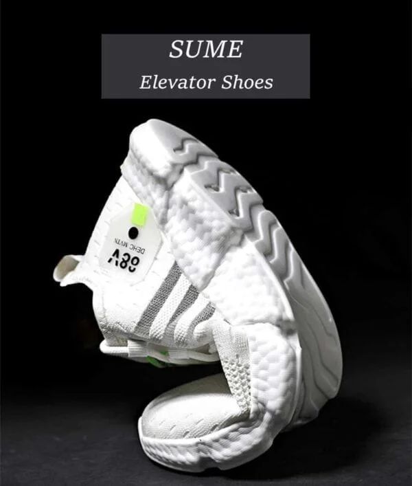 Sume3